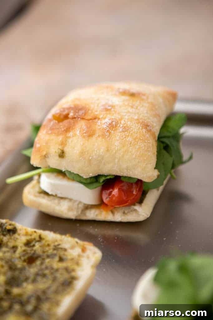 Starbucks roasted tomato mozzarella panini 