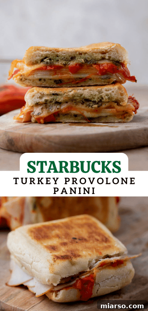 starbucks turkey provolone pesto panini on a plate