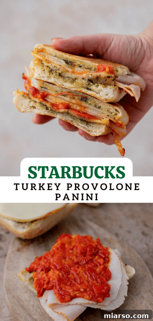 starbucks turkey provolone pesto panini close up