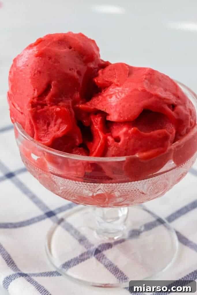 51 Ultimate Ninja Creami Recipes 8 Ninja creami strawberry sorbet