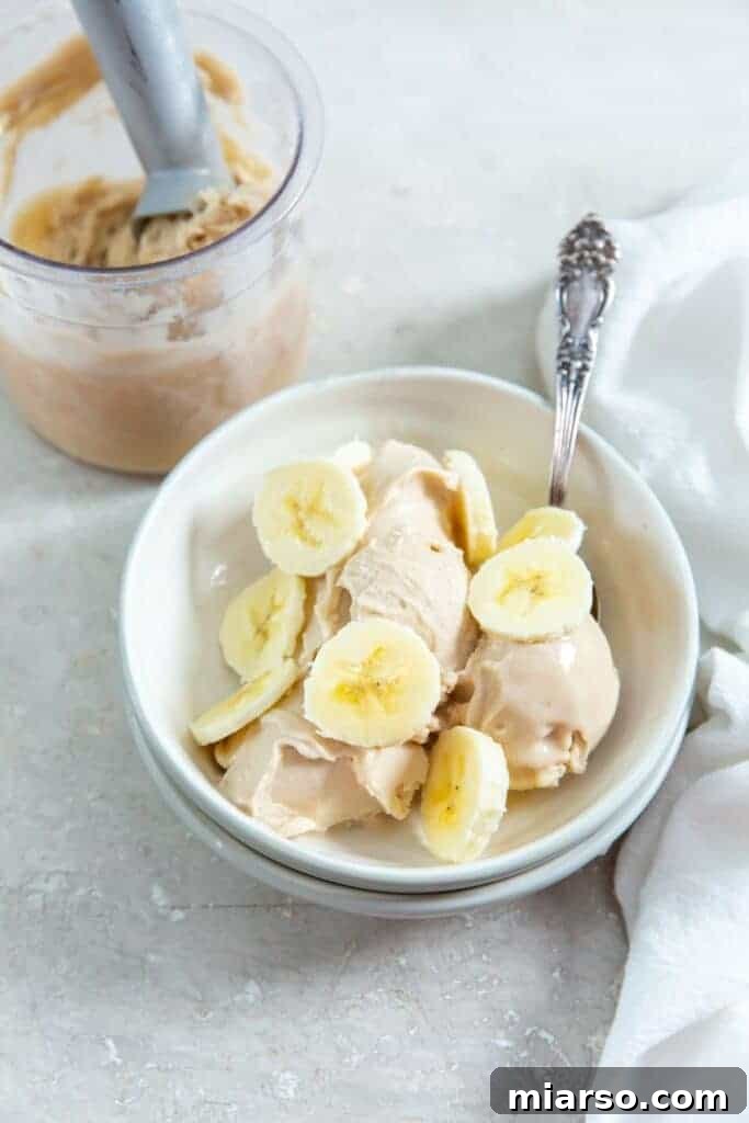 51 Ultimate Ninja Creami Recipes 9 Banana ninja creami ice cream - 51 Ninja creami ice cream recipes