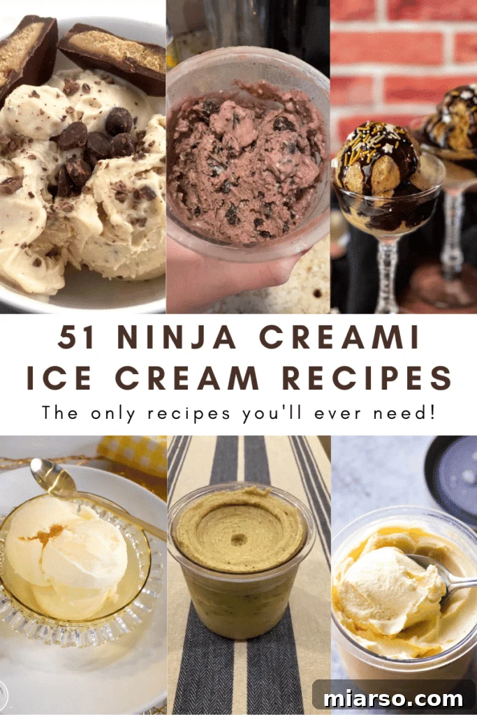 51 Ultimate Ninja Creami Recipes 16 51 Ninja creami ice cream recipes