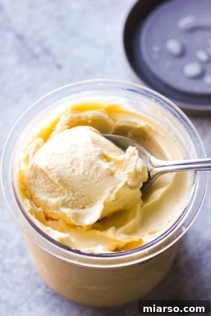 51 Ultimate Ninja Creami Recipes 4 Ninja creami banana ice cream