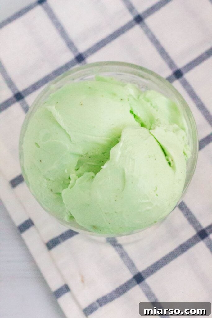 51 Ultimate Ninja Creami Recipes 6 Pistachio ninja creami ice cream