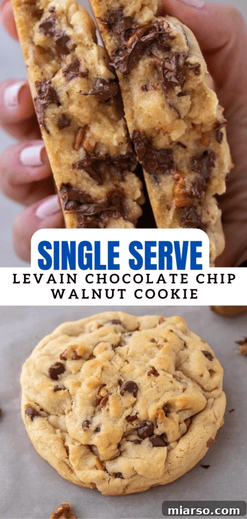 Single serve levain chocolate chip walnut cookie