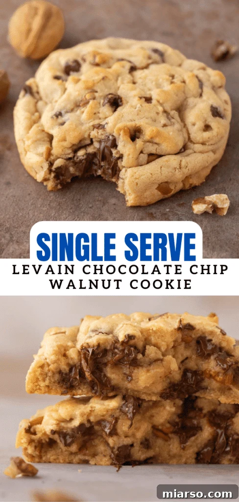 Single serve levain chocolate chip walnut cookie