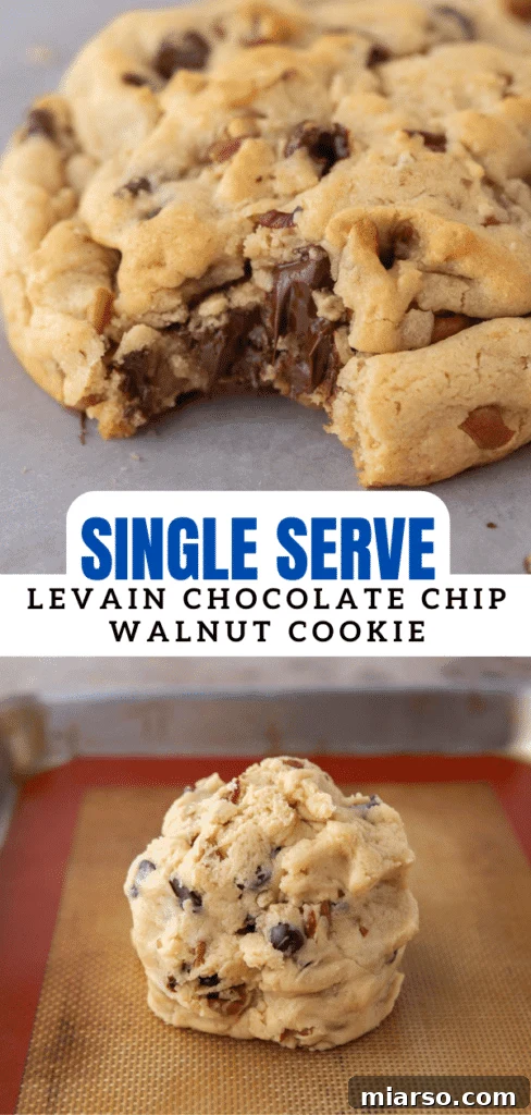Single serve levain chocolate chip walnut cookie