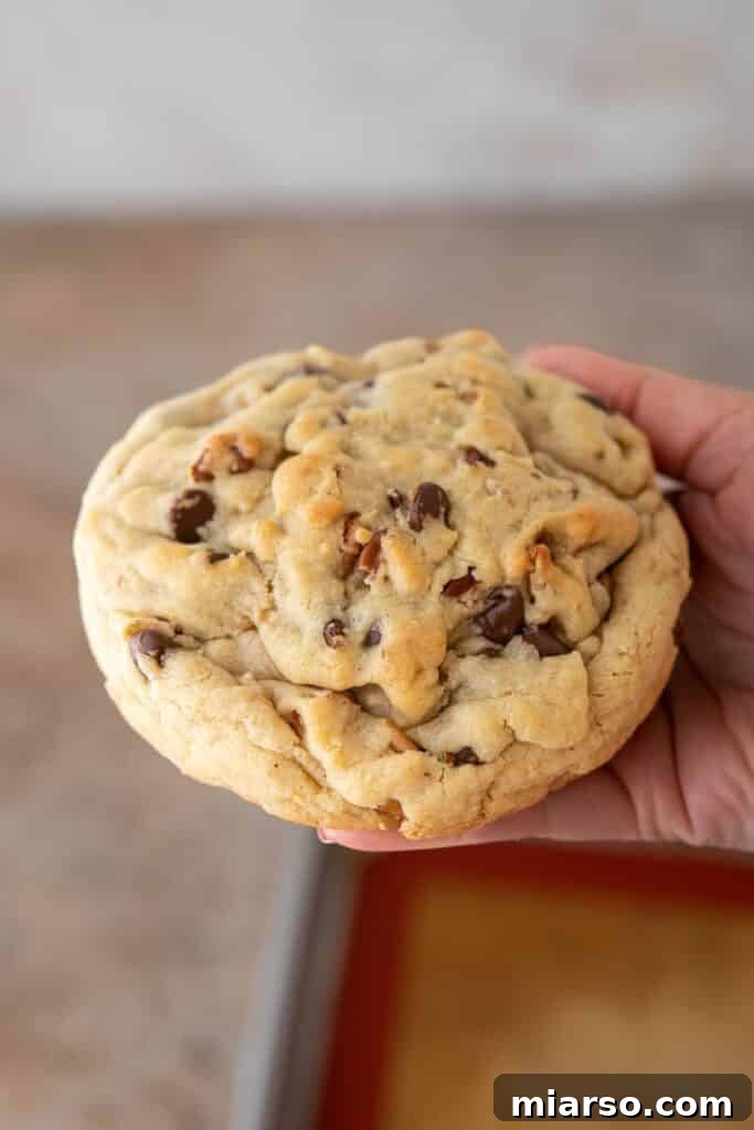 Hand holding Single serve levain chocolate chip walnut cookie
