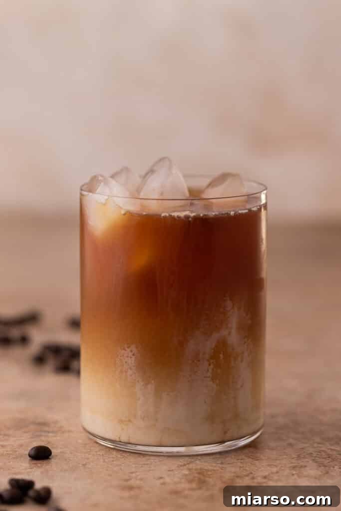 Finished Emma Chamberlain Cold Brew Latte, showcasing the creamy layered drink.
