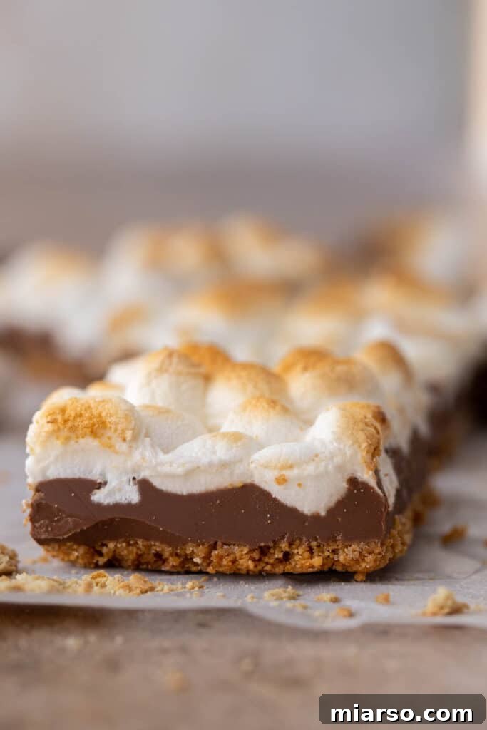 Starbucks s'mores bars