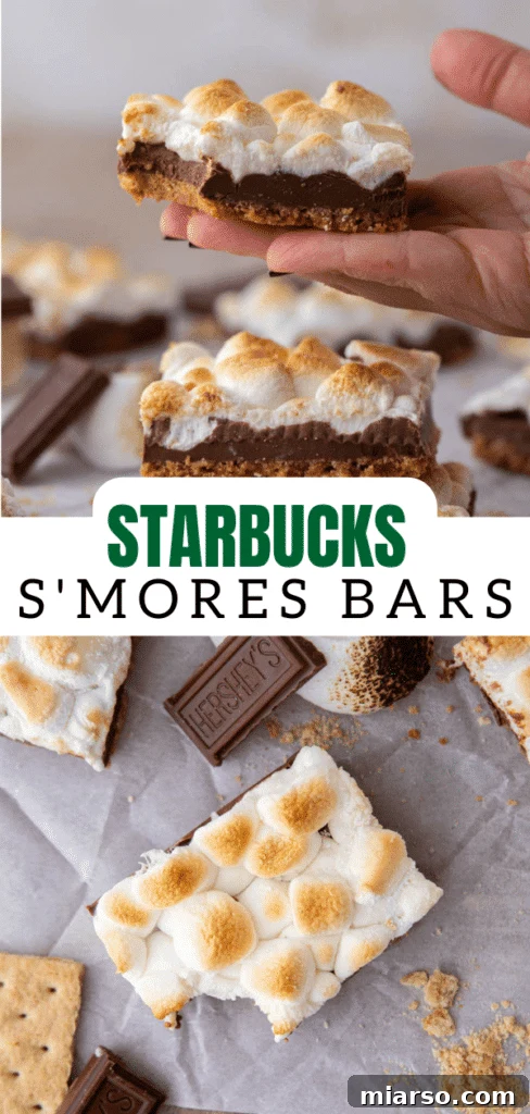 Starbucks s'mores bars 