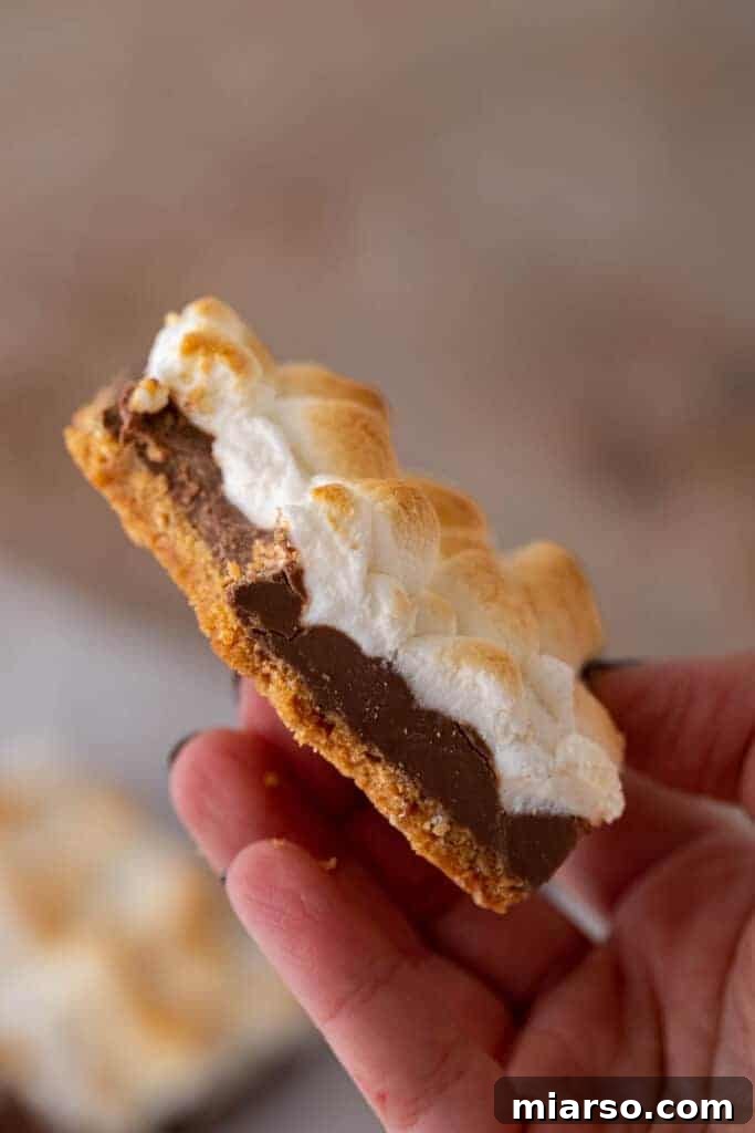 Hand holding Starbucks s'mores bars