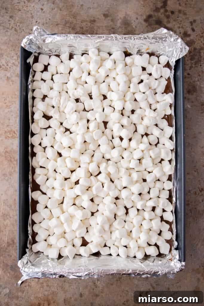 Ingredients in a pan