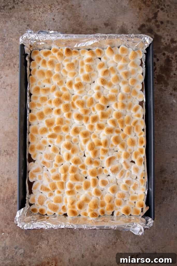 Starbucks s'mores bars