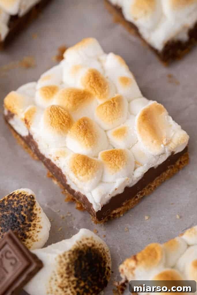 Starbucks s'mores bars