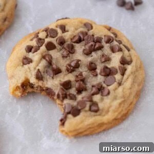 Delicious chocolate chip sugar cookies ready to be enjoyed.