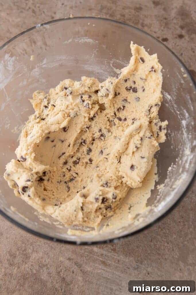 Soft chocolate chip sugar cookie dough in a mixing bowl after all ingredients are combined, perfectly textured.