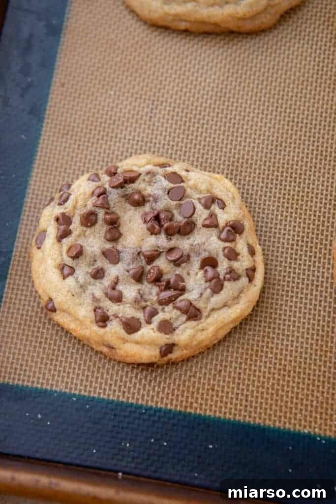 Soft baked chocolate chip sugar cookie fresh out of the oven on a baking sheet.