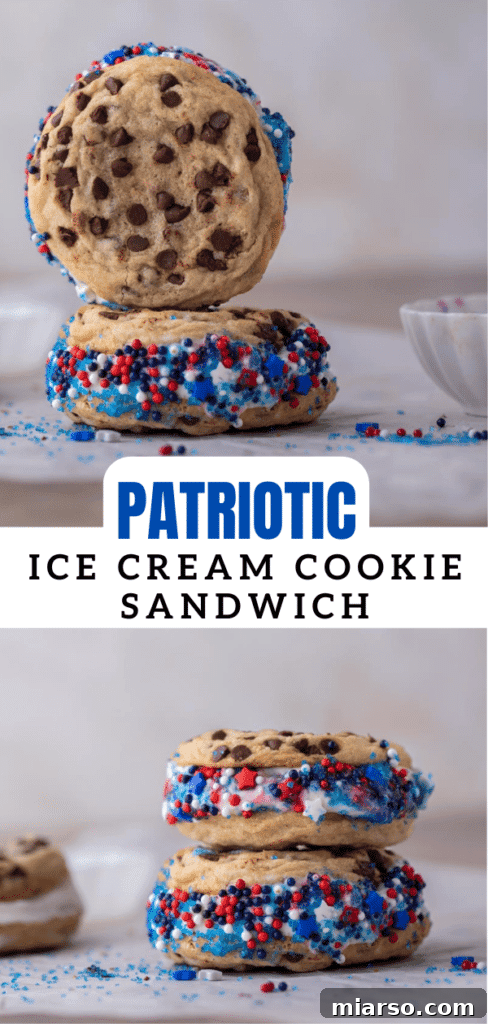 Patriotic ice cream cookie sandwich on a plate