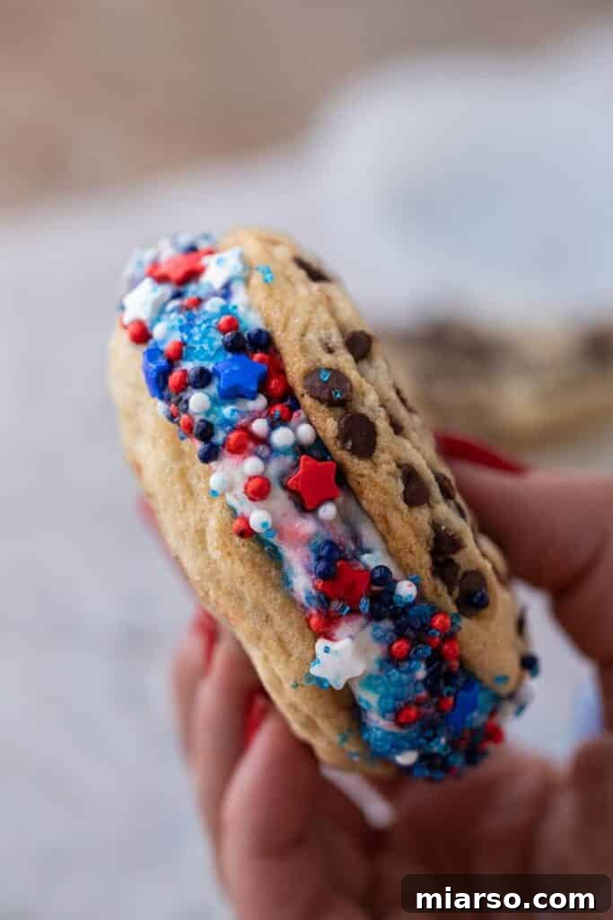 Hand holding patriotic ice cream sandwich with sprinkles