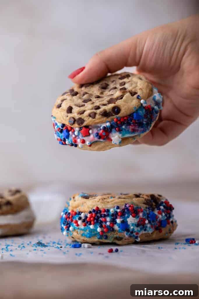 Patriotic ice cream sandwich being held