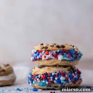 Patriotic ice cream sandwich