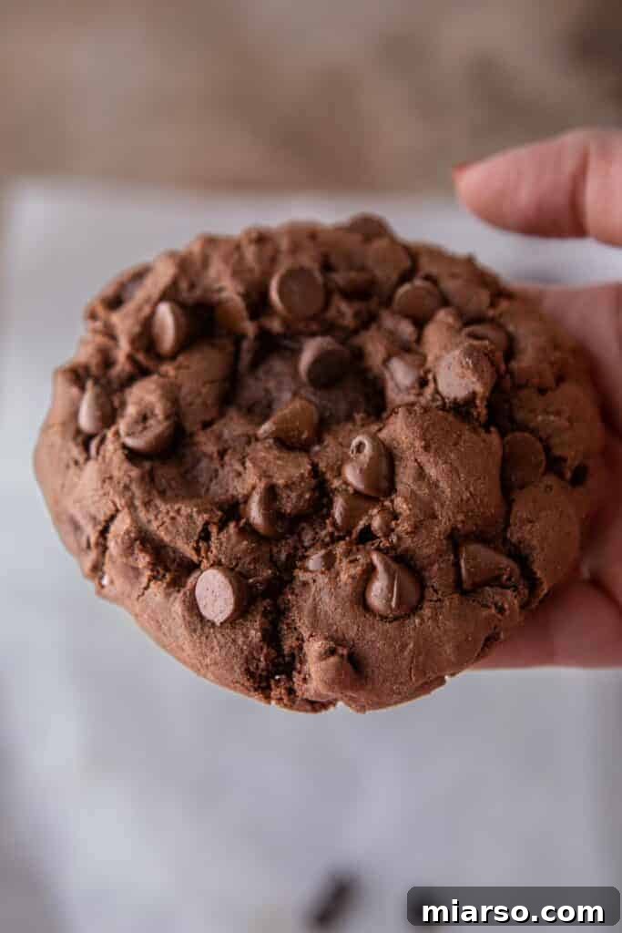 A hand gently holding a single serve double chocolate cookie, highlighting its perfect texture and abundant chocolate chips.