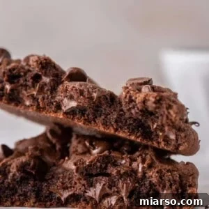 Delicious single serve double chocolate cookie