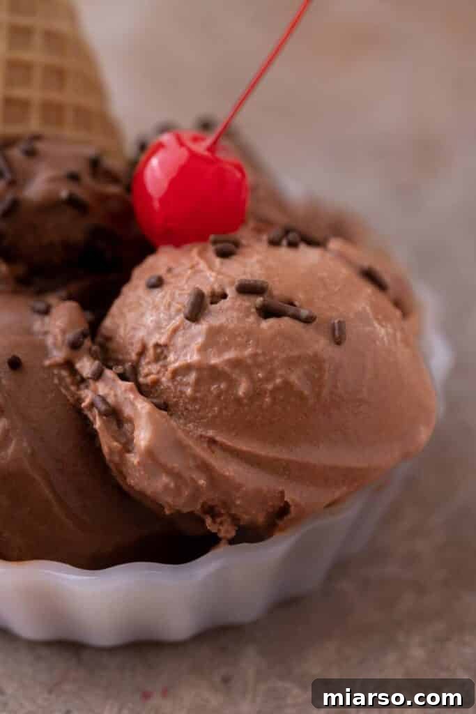 Decadent Ninja Creami Chocolate Ice Cream 2 Decadent Ninja Creami Chocolate Ice Cream Scoop