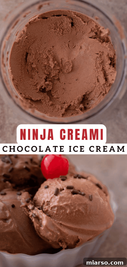 Decadent Ninja Creami Chocolate Ice Cream 12 Ninja Creami chocolate ice cream pin image 2