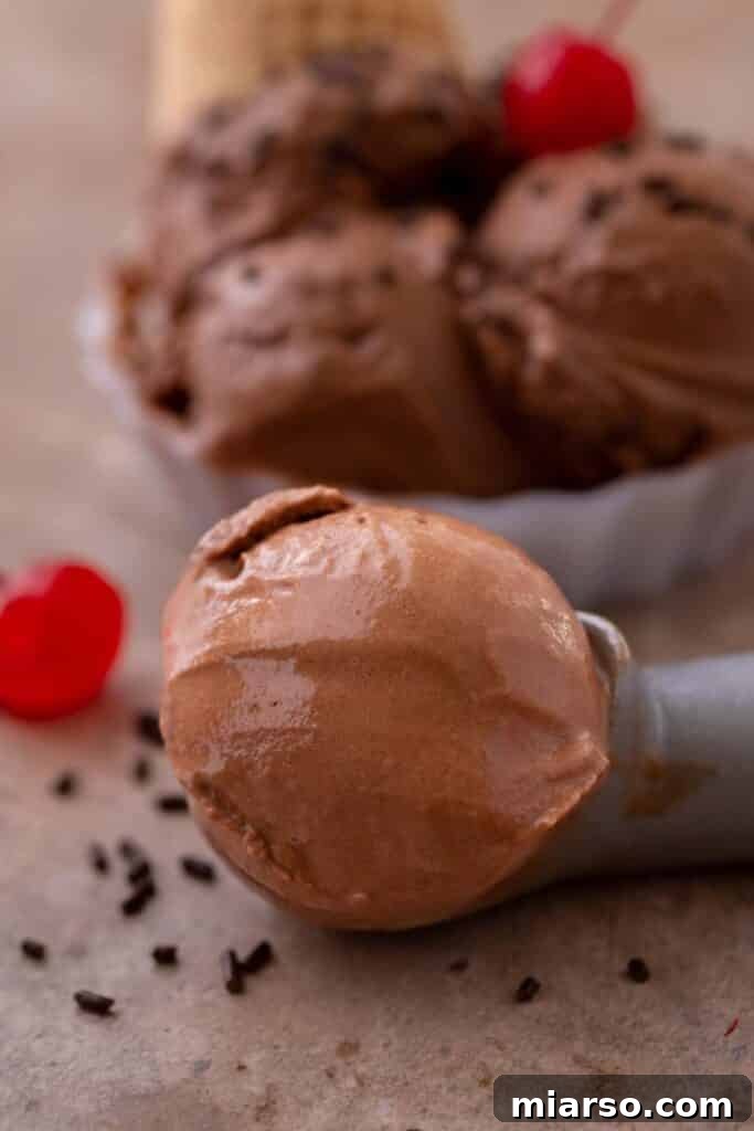 Decadent Ninja Creami Chocolate Ice Cream 9 Scoop of creamy Ninja Creami chocolate ice cream in a bowl