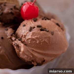 Decadent Ninja Creami Chocolate Ice Cream 10 Ninja creami chocolate ice cream