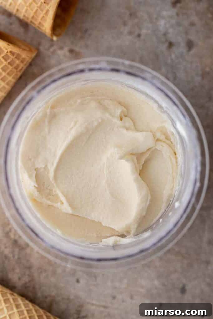 Ninja Creami vanilla ice cream ready to serve