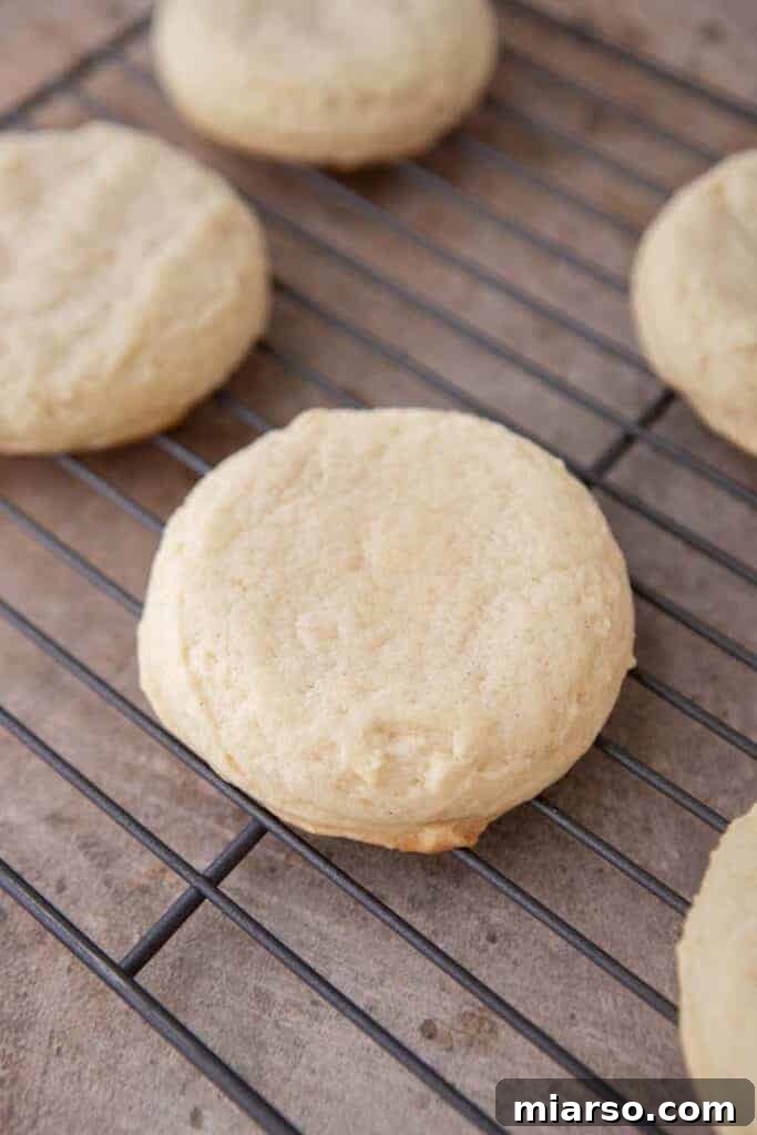A freshly baked vanilla bean cookie cooling on a wire rack.