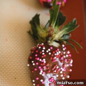 making chocolate covered strawberries