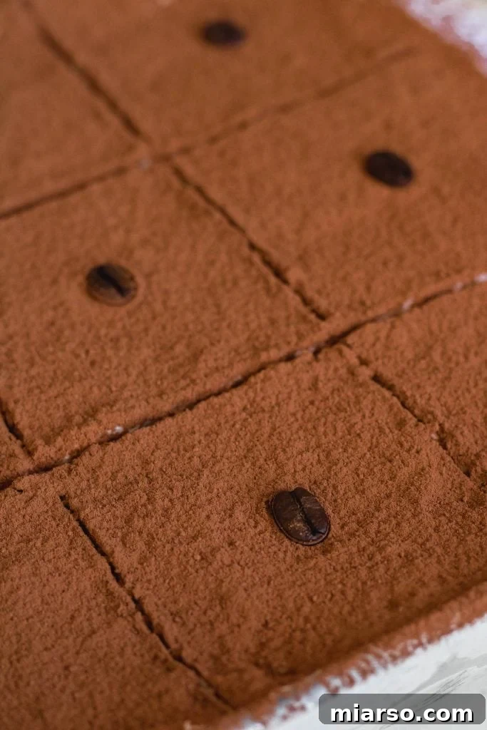Effortless Tiramisu for the Indulgent 22 Cocoa powder on easy tiramisu
