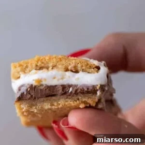 Hand holding s'mores bar cookies with gooey center