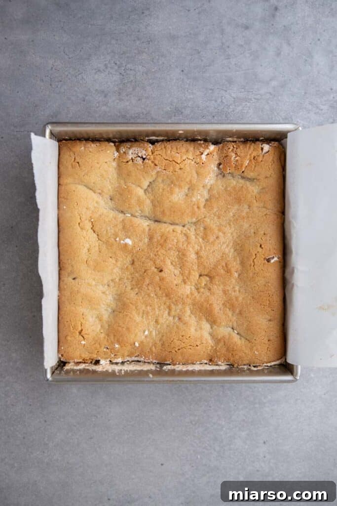 Freshly baked s'mores cookie bars in the pan, golden brown and bubbly.