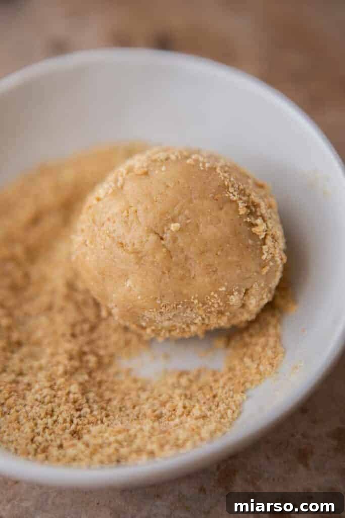 Graham cracker cookie dough rolled in crumbs