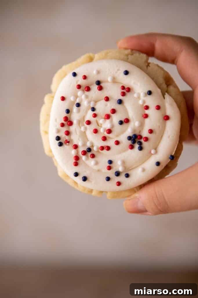 Hand holding patriotic sugar cookie close up