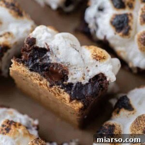 Lazy girl smores brownies