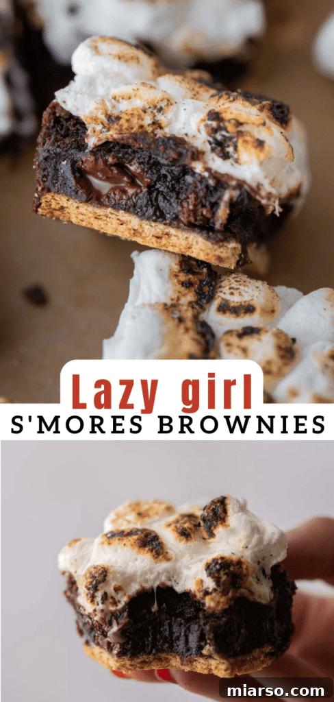 Lazy girl s'mores brownies 