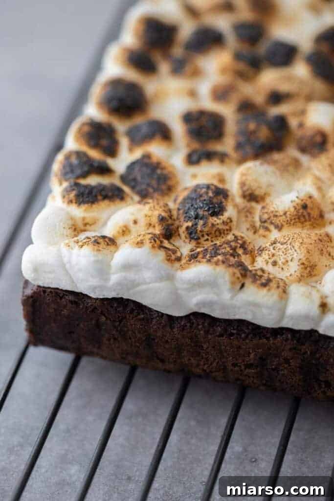Lazy girl s'mores brownies