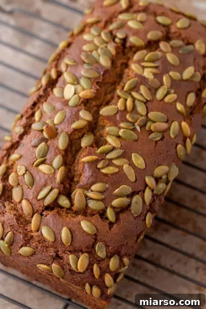 A baked loaf of Starbucks pumpkin bread copycat cooling on a wire rack.