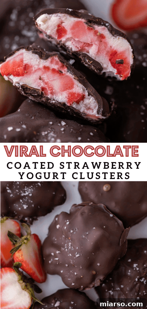 A beautifully arranged serving of Viral Chocolate Strawberry Yogurt Clusters.