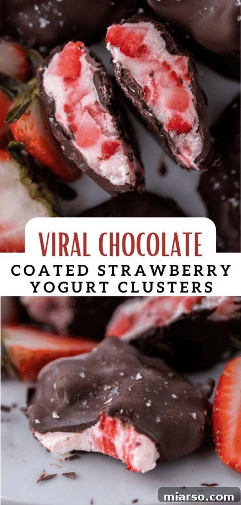Close-up of Viral Chocolate Strawberry Yogurt Clusters, showing the chocolate coating.