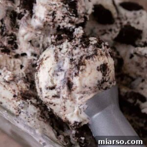 Simply Delicious No Churn Oreo Ice Cream 12 No churn cookies and cream ice cream