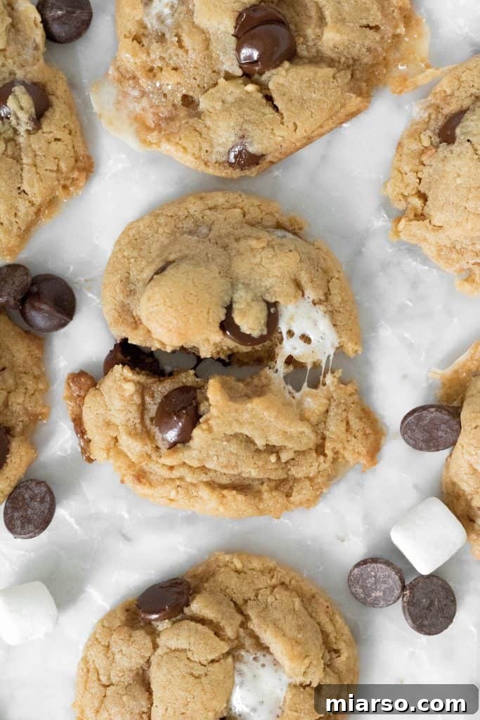 Peanut butter S'mores cookie recipe cut in half with gooey marshmallow center, showing chocolate and graham cracker bits.