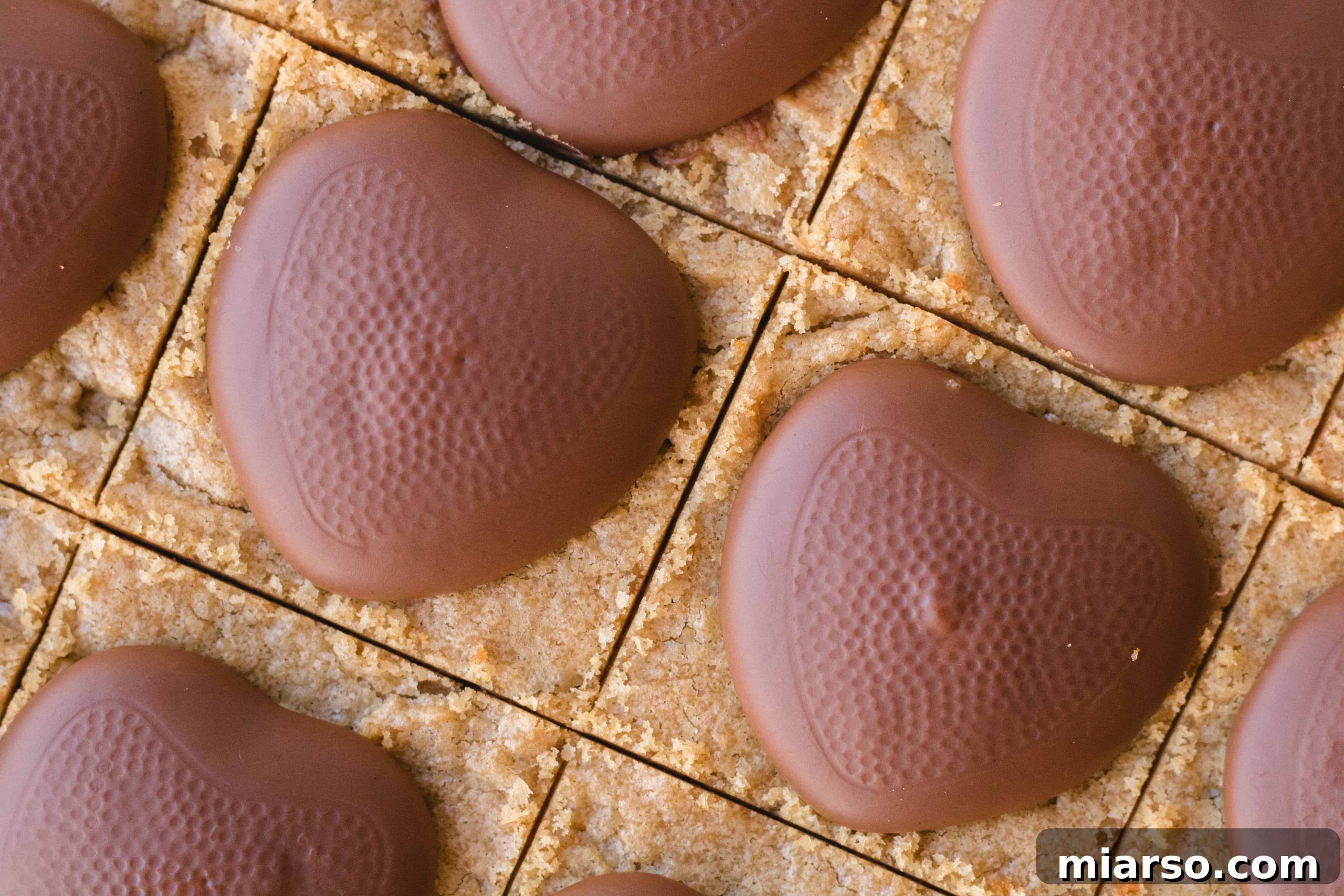 Close-up of Reese's peanut butter cups on blondies, showing one that slightly melted.