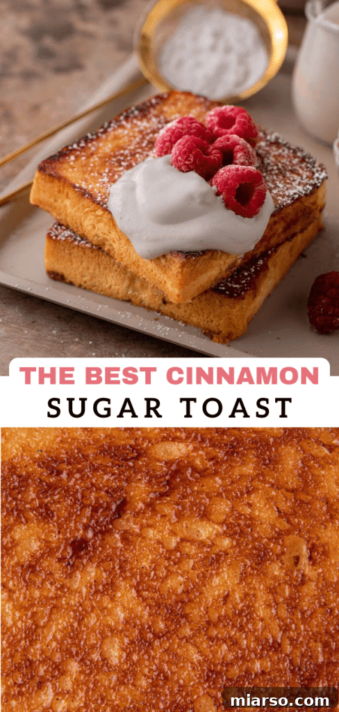 Perfect Cinnamon Sugar Toast, Every Time 14 Another view of a delicious cinnamon sugar toast slice, ready to eat.